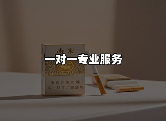 专业优势